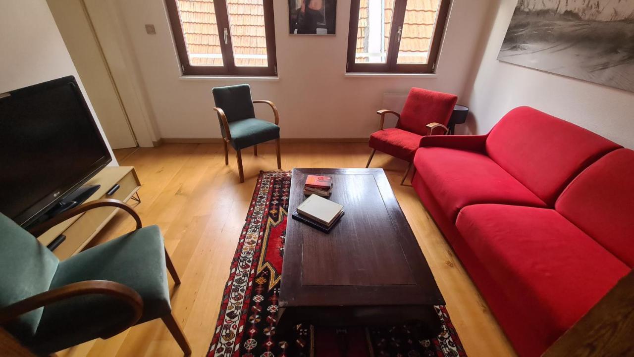 Apartamento Selestat Entre Colmar Et Strasbourg Exterior foto
