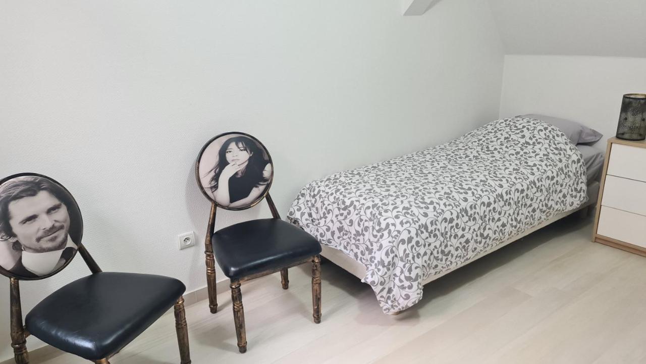 Apartamento Selestat Entre Colmar Et Strasbourg Exterior foto